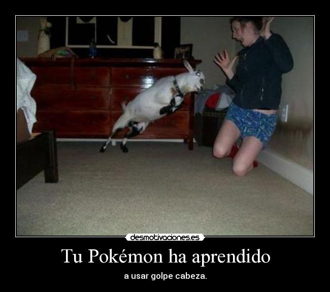 Tu Pokémon ha aprendido - a usar golpe cabeza.