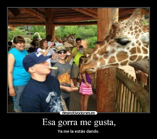 Esa gorra me gusta, - Ya me la estás dando.