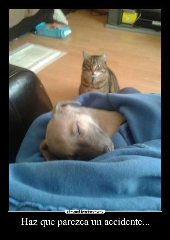 carteles samelove pashulshulomipirulo cutewinter cristales enterrados los ojos desmofunny desmotivaciones