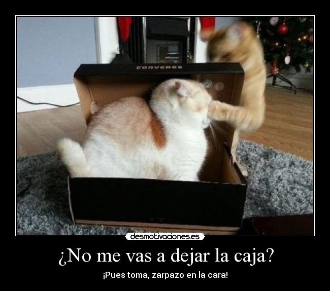 ¿No me vas a dejar la caja? -