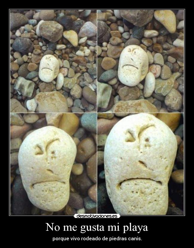 No me gusta mi playa - porque vivo rodeado de piedras canis.