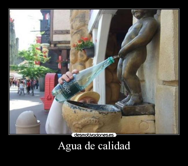 Agua de calidad - 