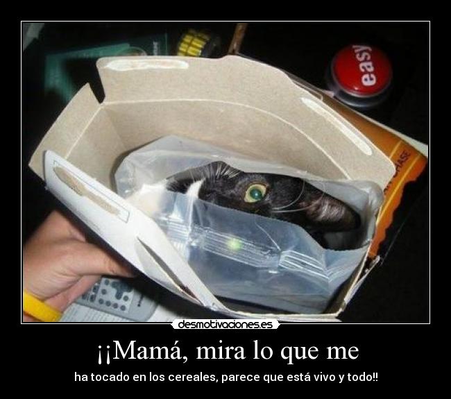 ¡¡Mamá, mira lo que me -