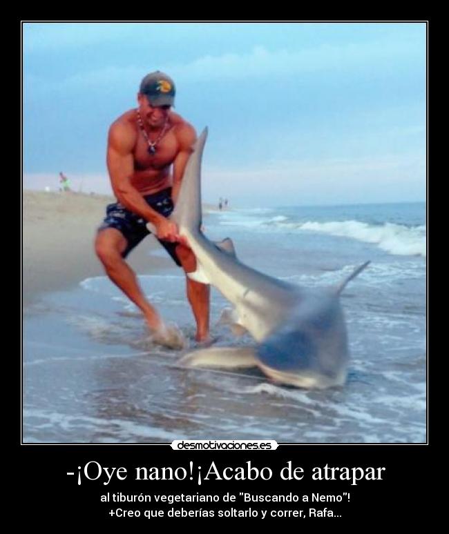 carteles eften desmofunny desmotivaciones