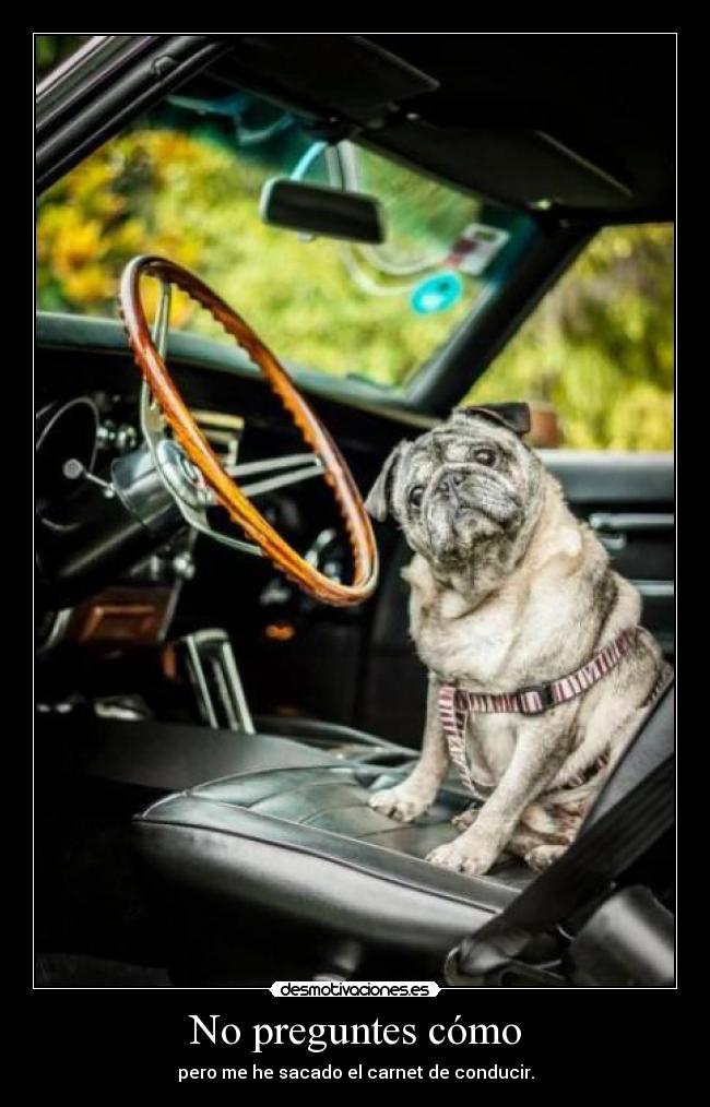No preguntes cómo - pero me he sacado el carnet de conducir.