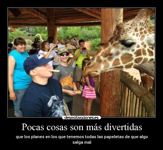 Pocas cosas son más divertidas - que los planes en los que tenemos todas las papeletas de que algo salga mal