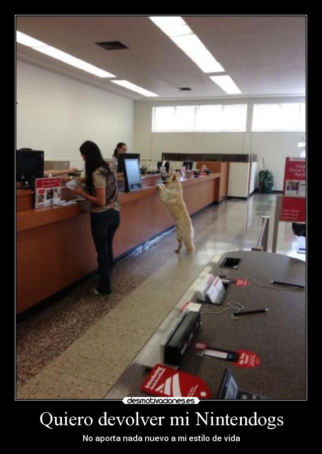 Quiero devolver mi Nintendogs - No aporta nada nuevo a mi estilo de vida