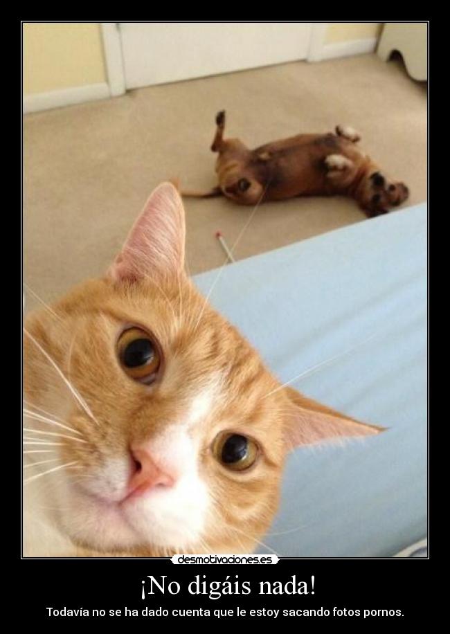 ¡No digáis nada! - 