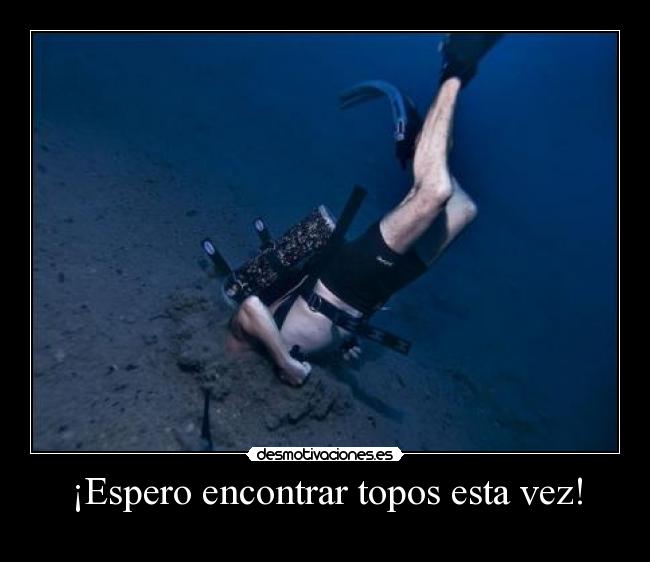 ¡Espero encontrar topos esta vez! -