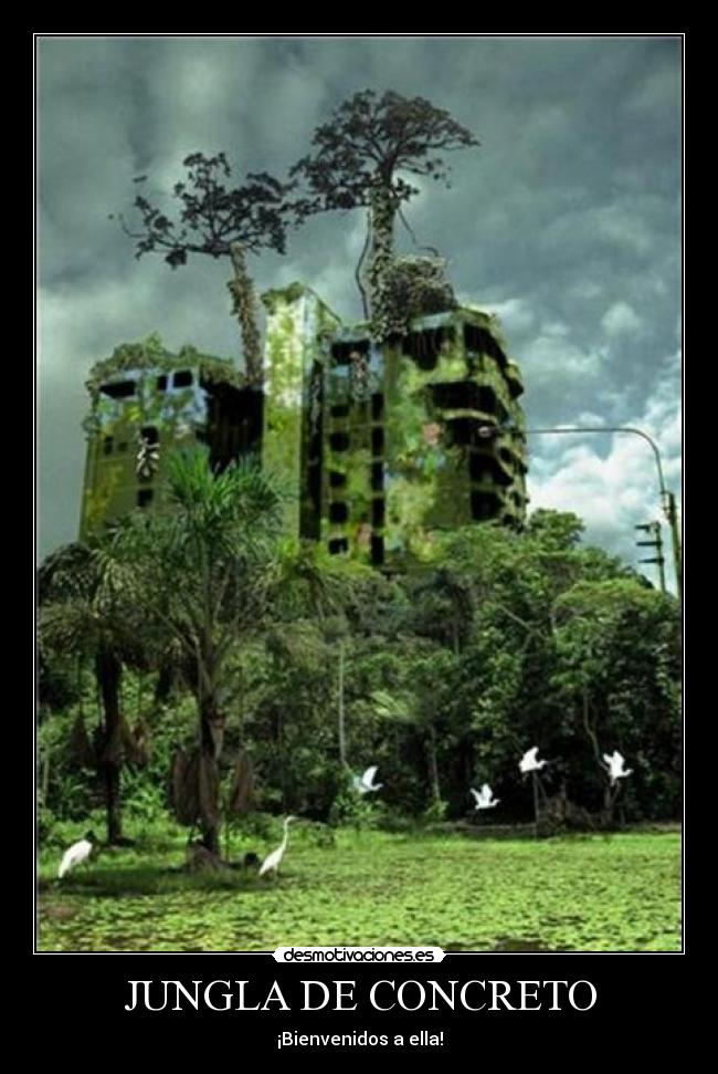 JUNGLA DE CONCRETO - ¡Bienvenidos a ella!
