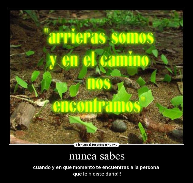 nunca sabes -