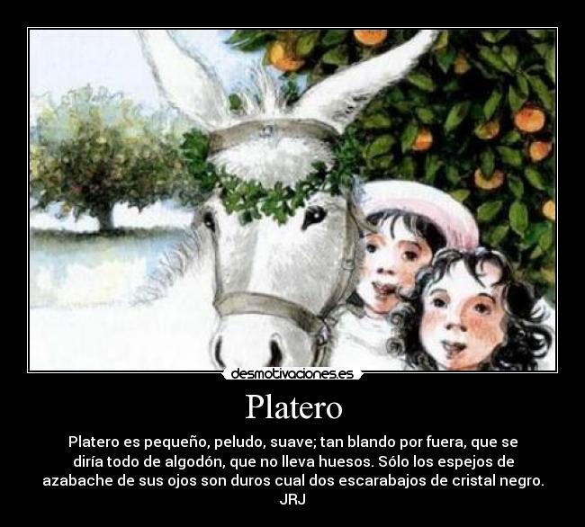 Platero - Platero es pequeño, peludo, suave; tan blando por fuera, que se
diría todo de algodón, que no lleva huesos. Sólo los espejos de
azabache de sus ojos son duros cual dos escarabajos de cristal negro.
JRJ