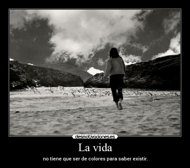 La vida - no tiene que ser de colores para saber existir.
