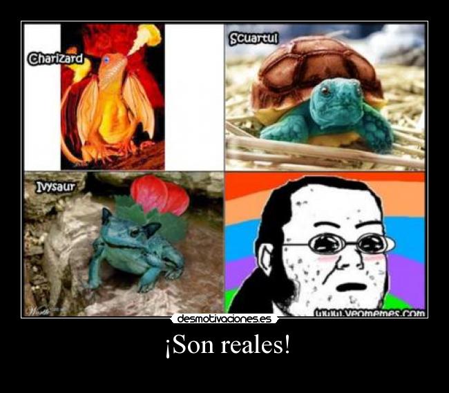 ¡Son reales! - 