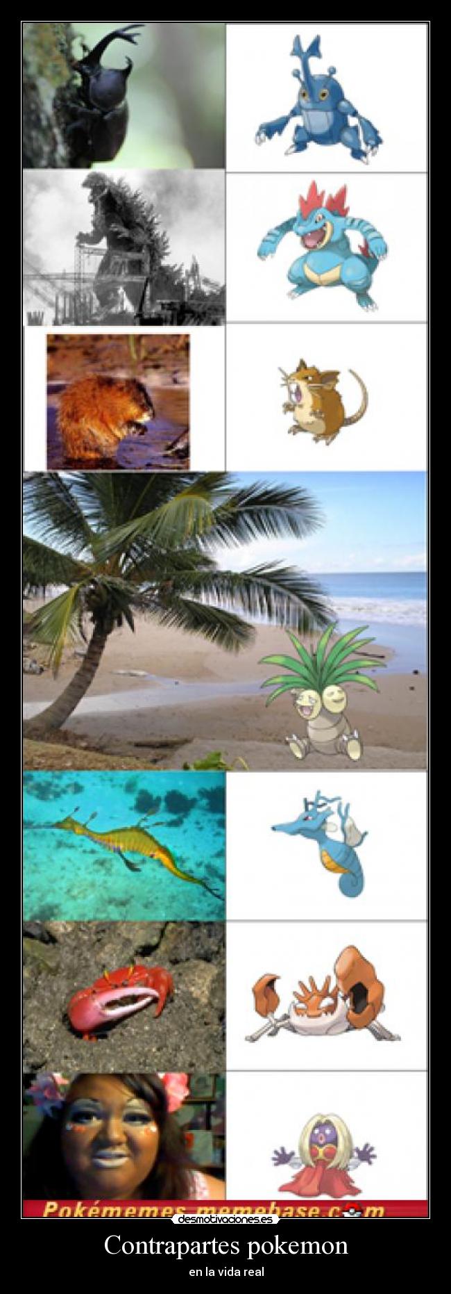 Contrapartes pokemon - en la vida real