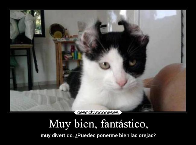 carteles princi dedico 1dff nobody knows desmotivaciones