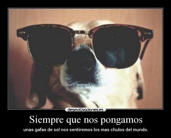 Siempre que nos pongamos - unas gafas de sol nos sentiremos los mas chulos del mundo.