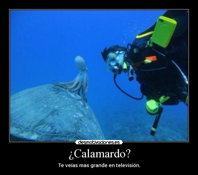 ¿Calamardo? -