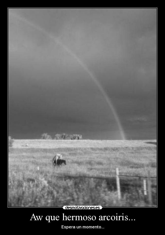 carteles jajajajajajajajajajaja parare reir cada vez que vea jajajajaja foto momento justo desmotivaciones