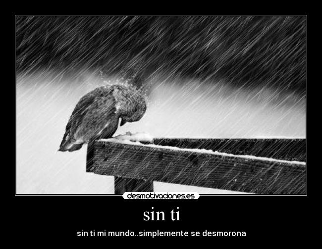 sin ti -