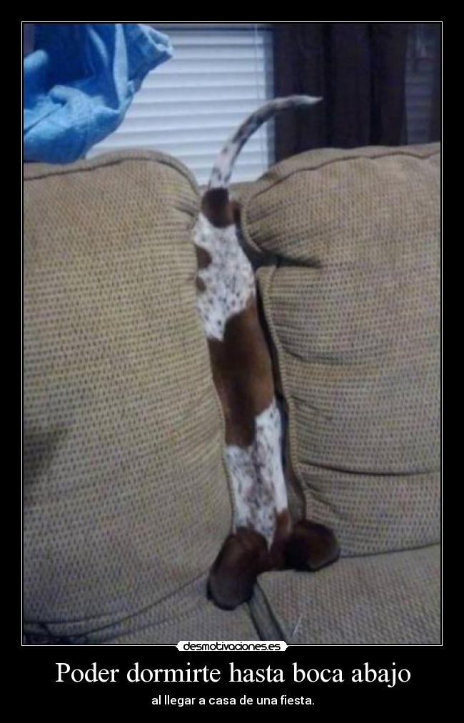 Poder dormirte hasta boca abajo - al llegar a casa de una fiesta.