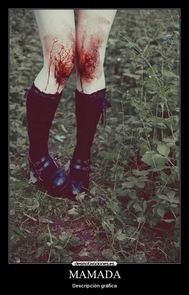 MAMADA - Descripción gráfica