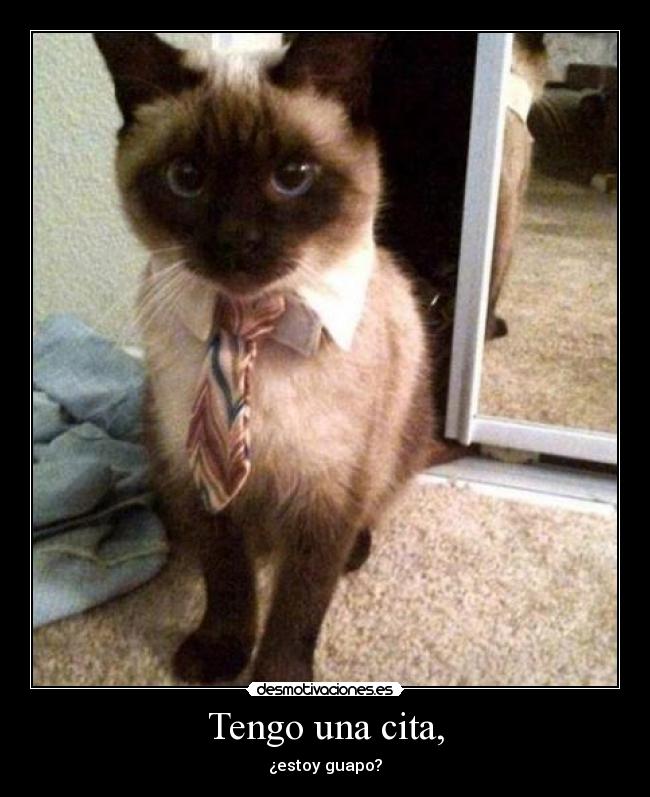 Tengo una cita, -