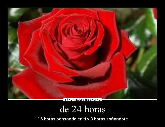carteles rosas desmotivaciones