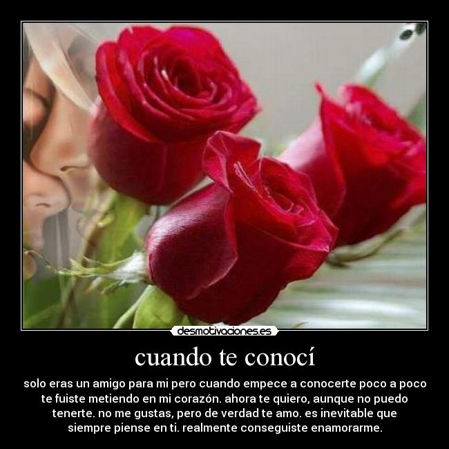 cuando te conocí - solo eras un amigo para mi pero cuando empece a conocerte poco a poco
te fuiste metiendo en mi corazón. ahora te quiero, aunque no puedo
tenerte. no me gustas, pero de verdad te amo. es inevitable que
siempre piense en ti. realmente conseguiste enamorarme.