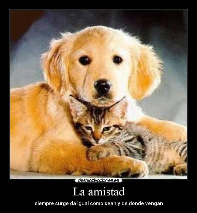 La amistad -