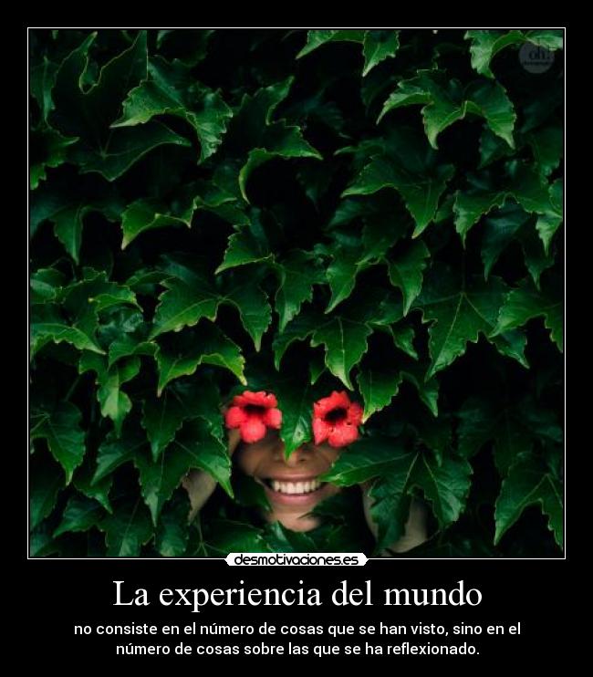 La experiencia del mundo - 