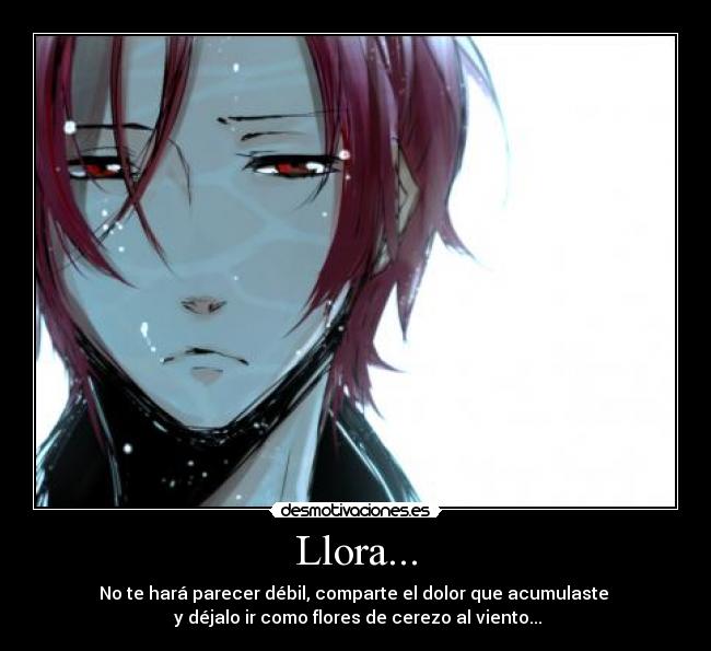 Llora... - No te hará parecer débil, comparte el dolor que acumulaste
y déjalo ir como flores de cerezo al viento...