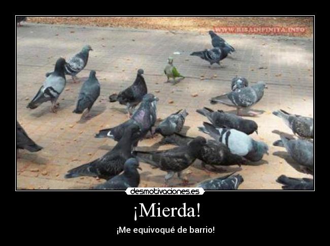 ¡Mierda! - 