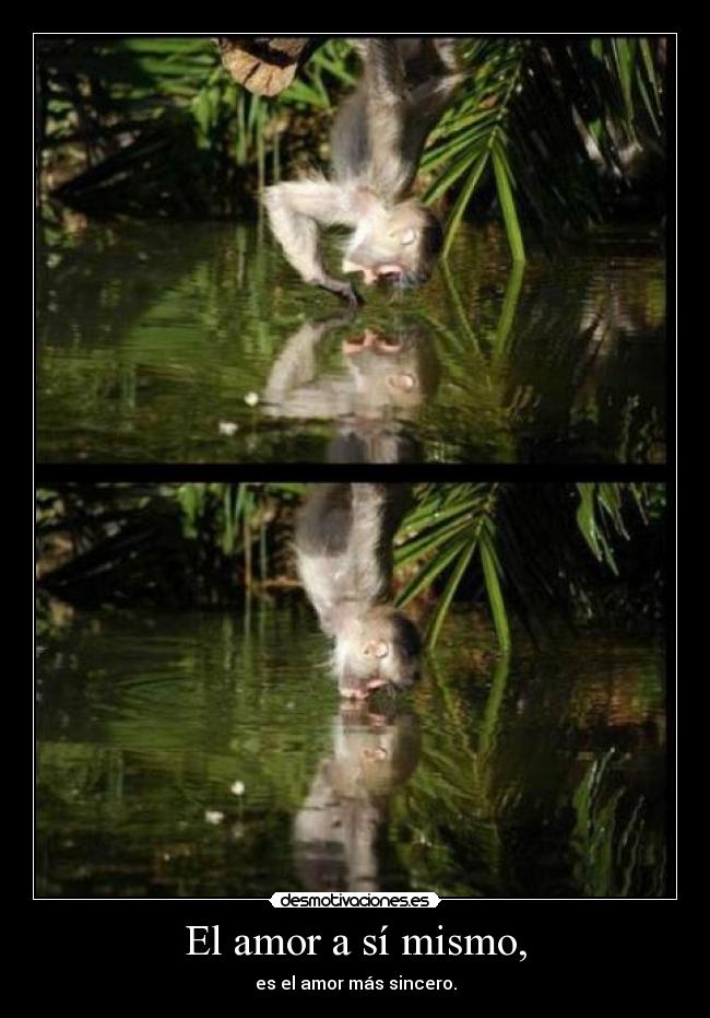 El amor a sí mismo, - 