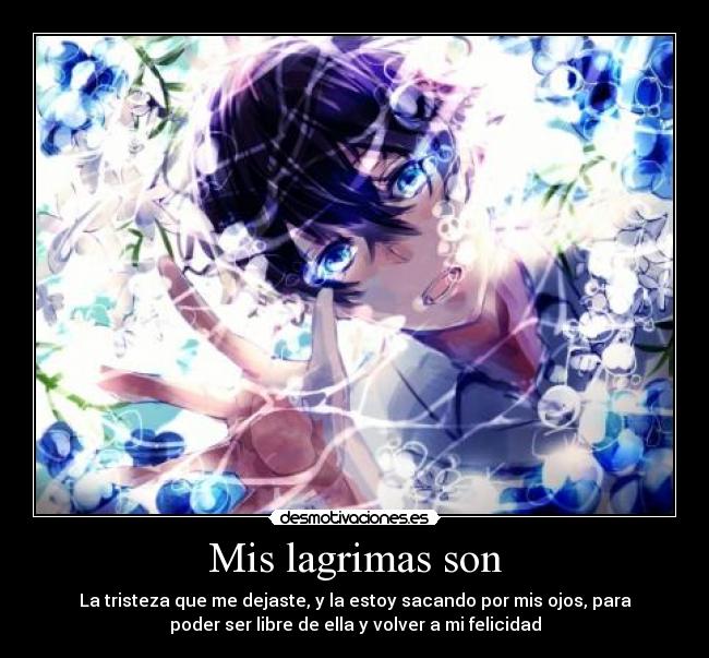 Mis lagrimas son - La tristeza que me dejaste, y la estoy sacando por mis ojos, para
poder ser libre de ella y volver a mi felicidad