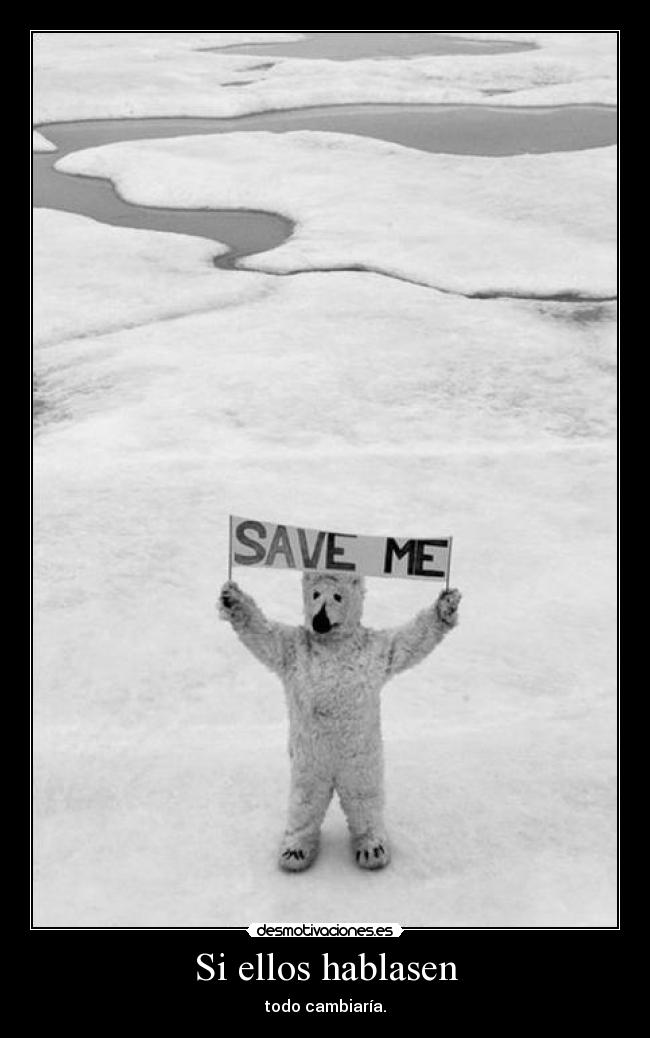Si ellos hablasen - todo cambiaría.