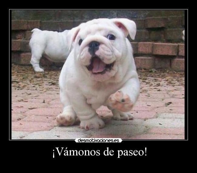 ¡Vámonos de paseo! -