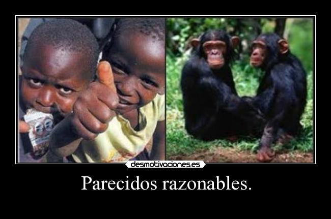 Parecidos razonables. -