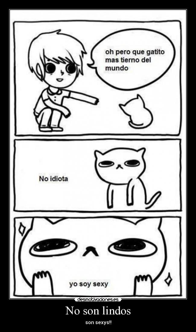 No son lindos - son sexys!!