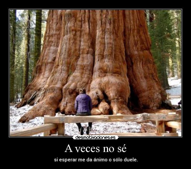 A veces no sé -