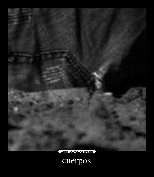 cuerpos. -