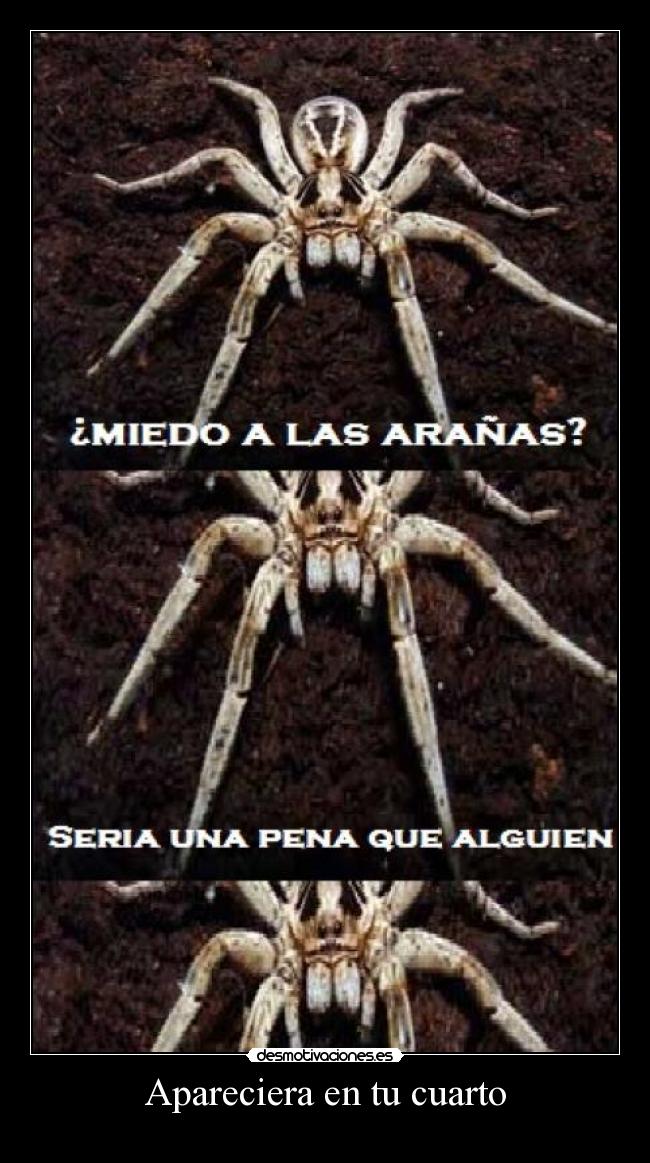 carteles shinigamisempai anime regalo jun supremo colwuwboaonwtoiopwaoion aranas odio pain desmotivaciones