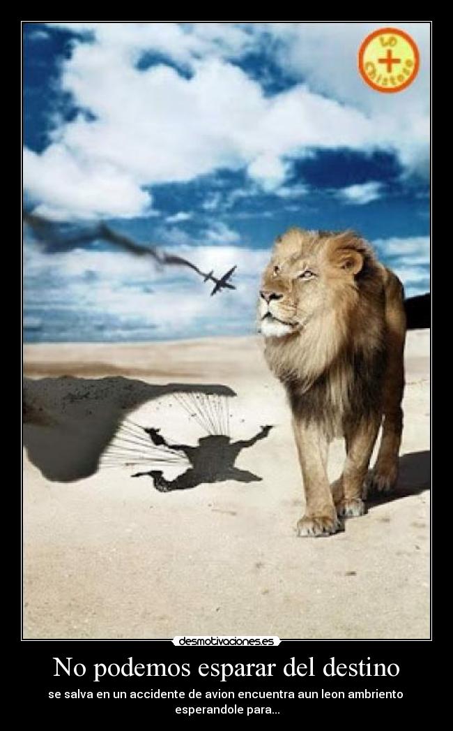 No podemos esparar del destino -