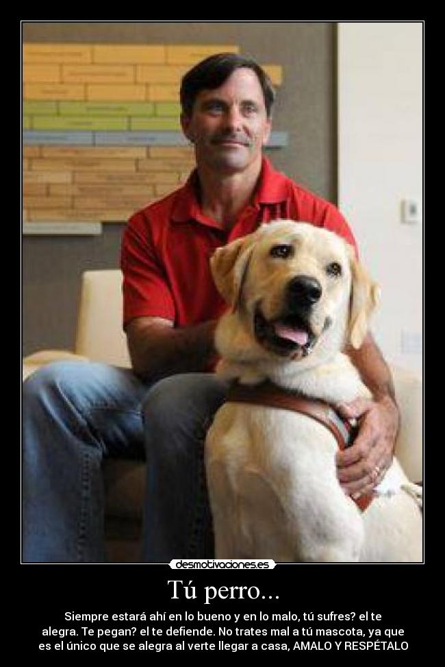 Tú perro... - 