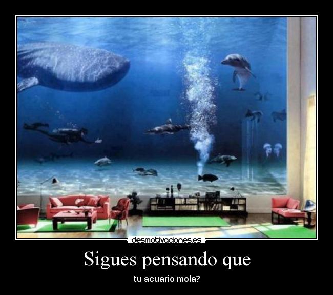 Sigues pensando que -