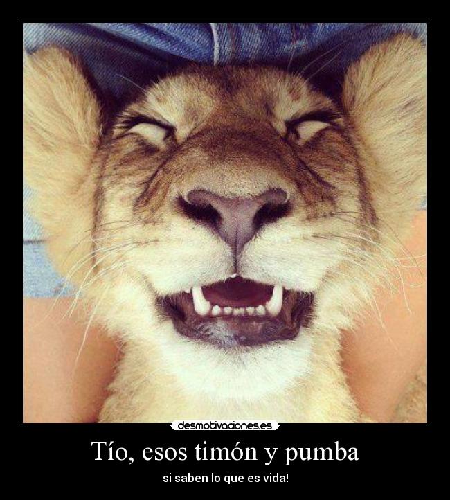 Tío, esos timón y pumba -