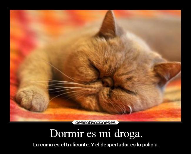Dormir es mi droga. - La cama es el traficante. Y el despertador es la policía.