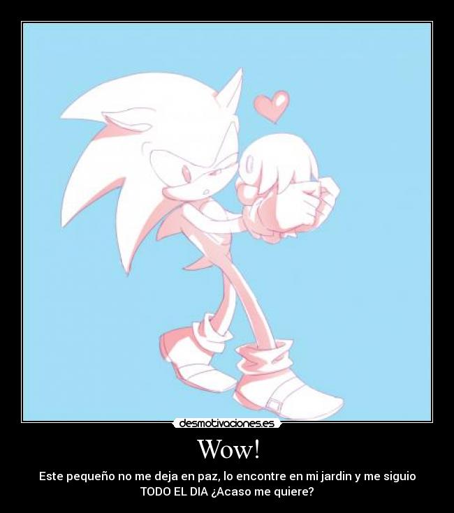 Wow! - Este pequeño no me deja en paz, lo encontre en mi jardin y me siguio
TODO EL DIA ¿Acaso me quiere?