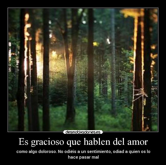 Es gracioso que hablen del amor - como algo doloroso. No odiéis a un sentimiento, odiad a quien os lo hace pasar mal