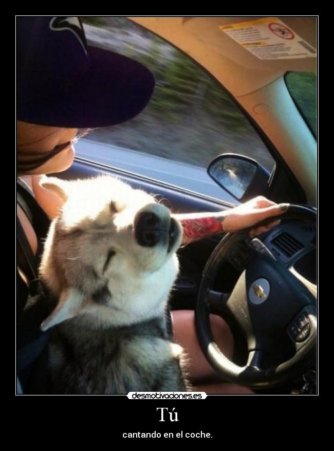 Tú - cantando en el coche.